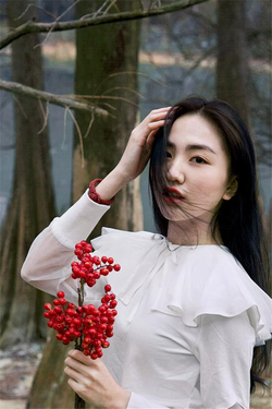 成人日韩在线功能演示